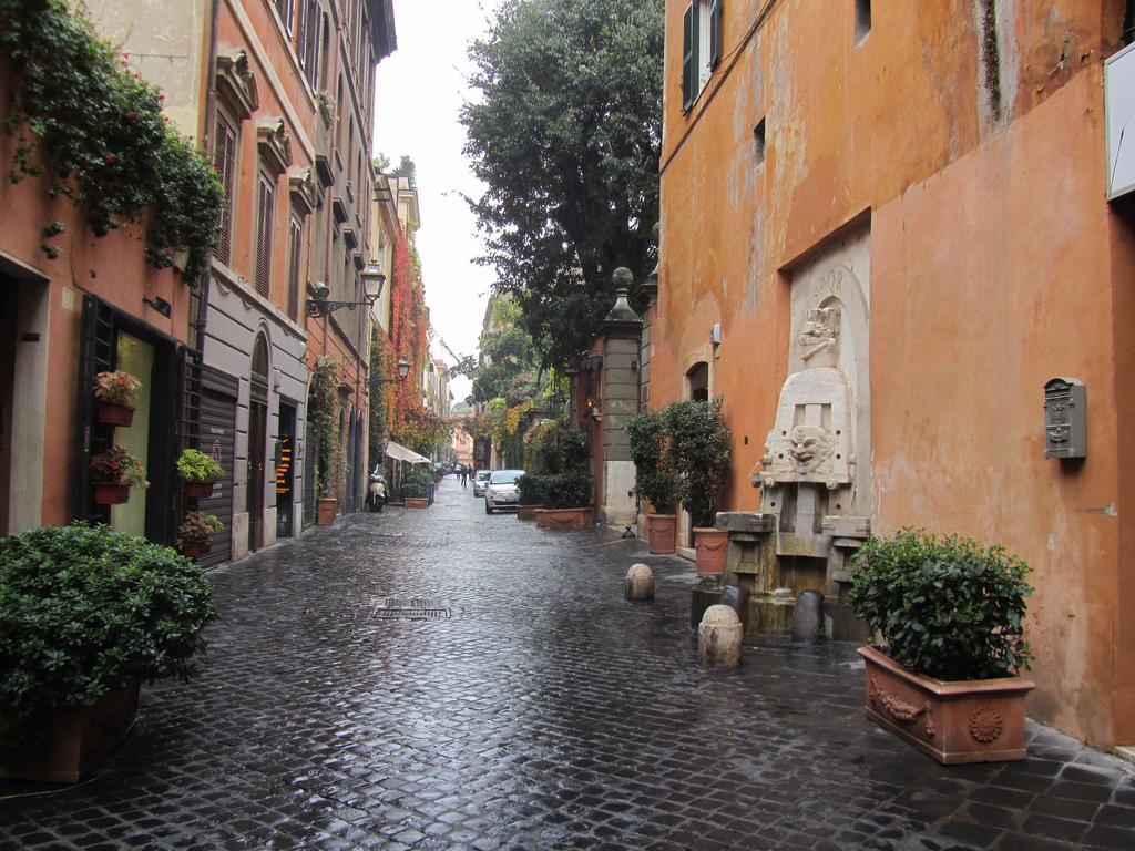 Margutta'S Garden — Foto 3